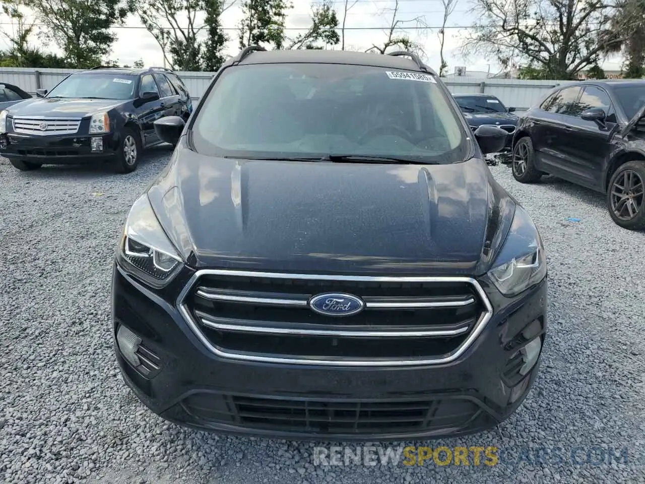 5 fotografías del automóvil dañado 1FMCU0GD5KUC20168 FORD ESCAPE 2019