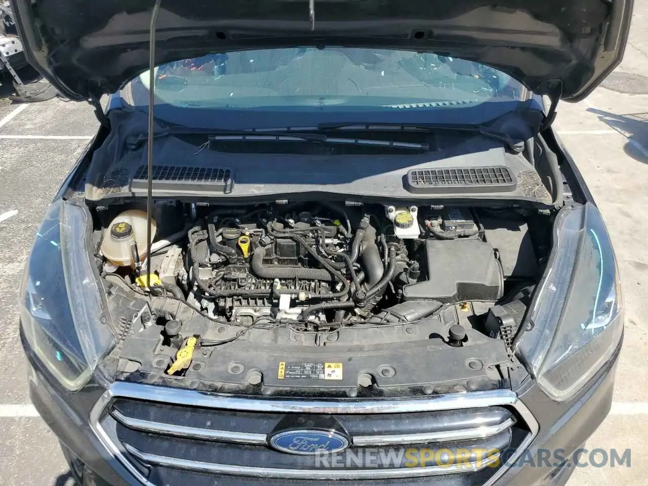 12 fotografías del automóvil dañado 1FMCU0GD6KUA25082 FORD ESCAPE 2019