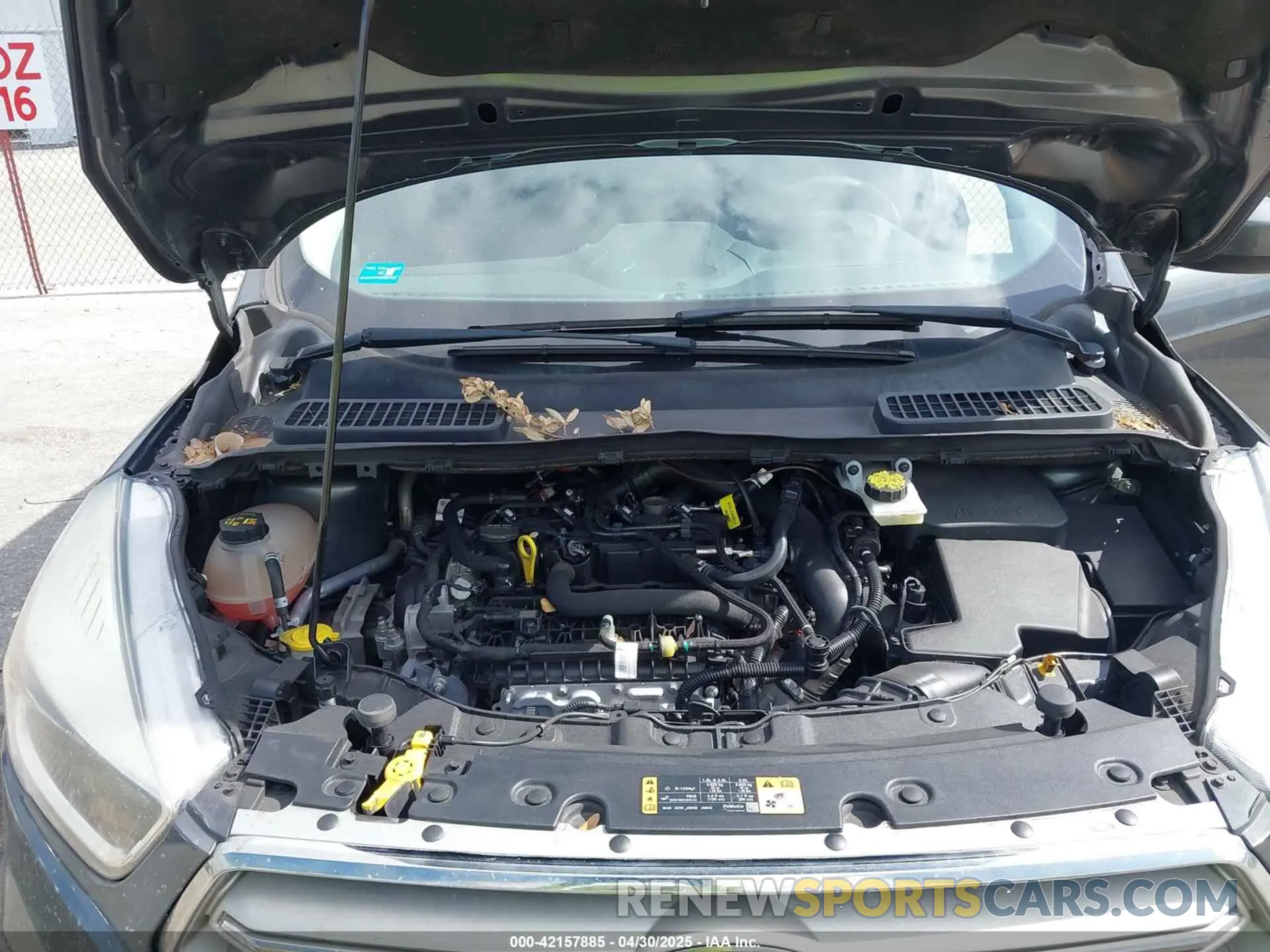 10 fotografías del automóvil dañado 1FMCU0GD6KUA30251 FORD ESCAPE 2019