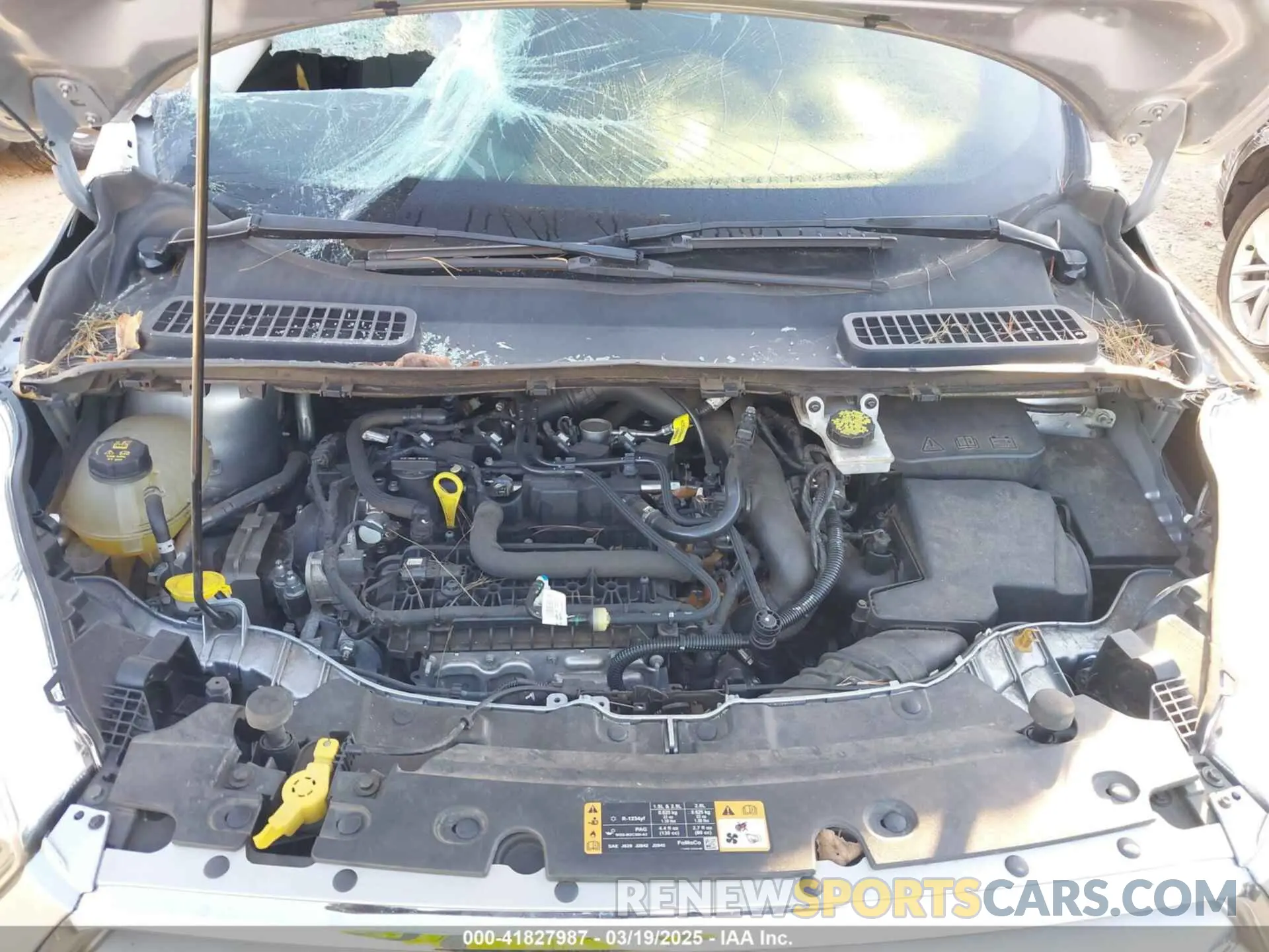 10 fotografías del automóvil dañado 1FMCU0GD7KUB45277 FORD ESCAPE 2019