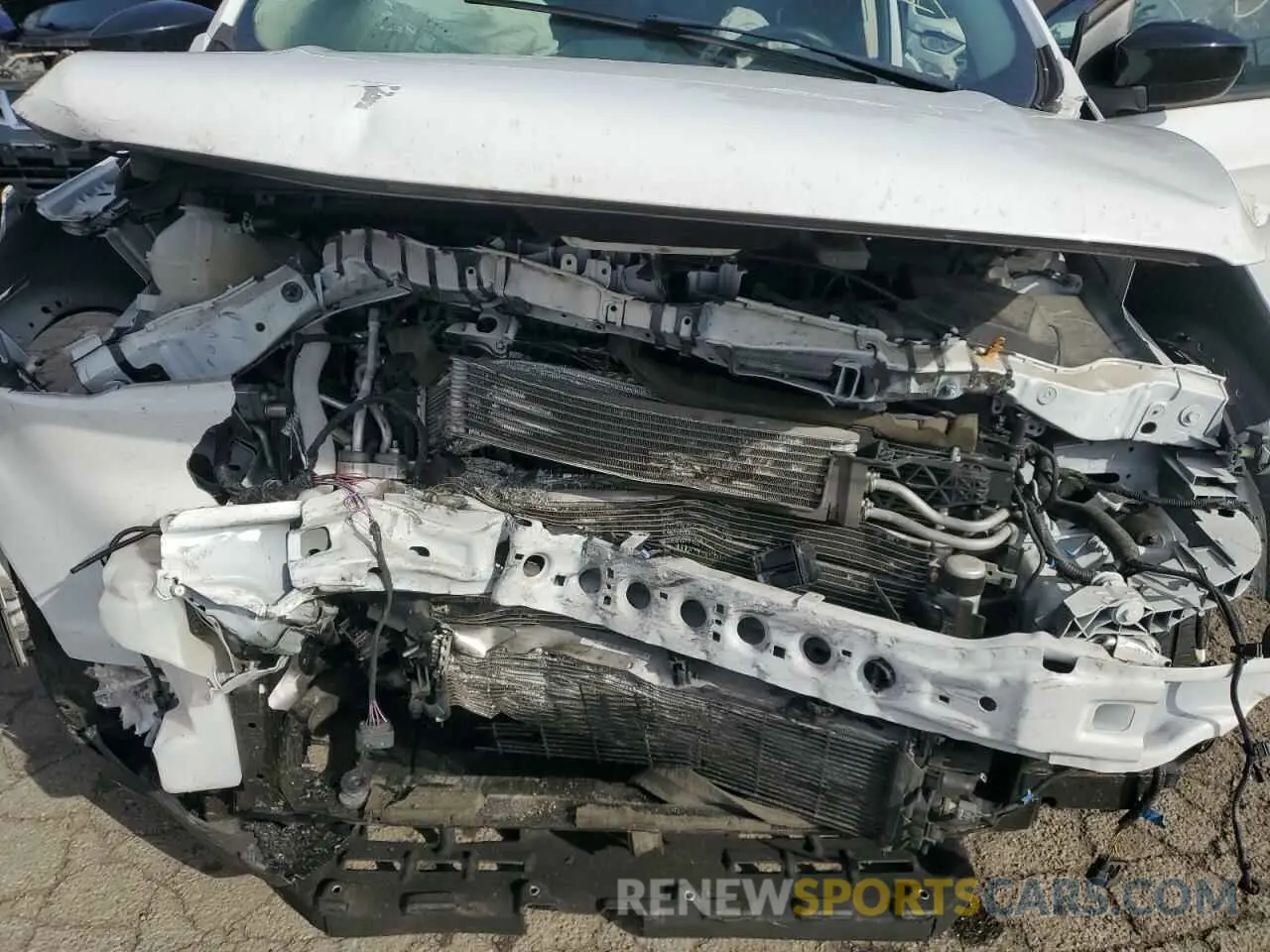 13 fotografías del automóvil dañado 1FMCU0GD7KUB99596 FORD ESCAPE 2019