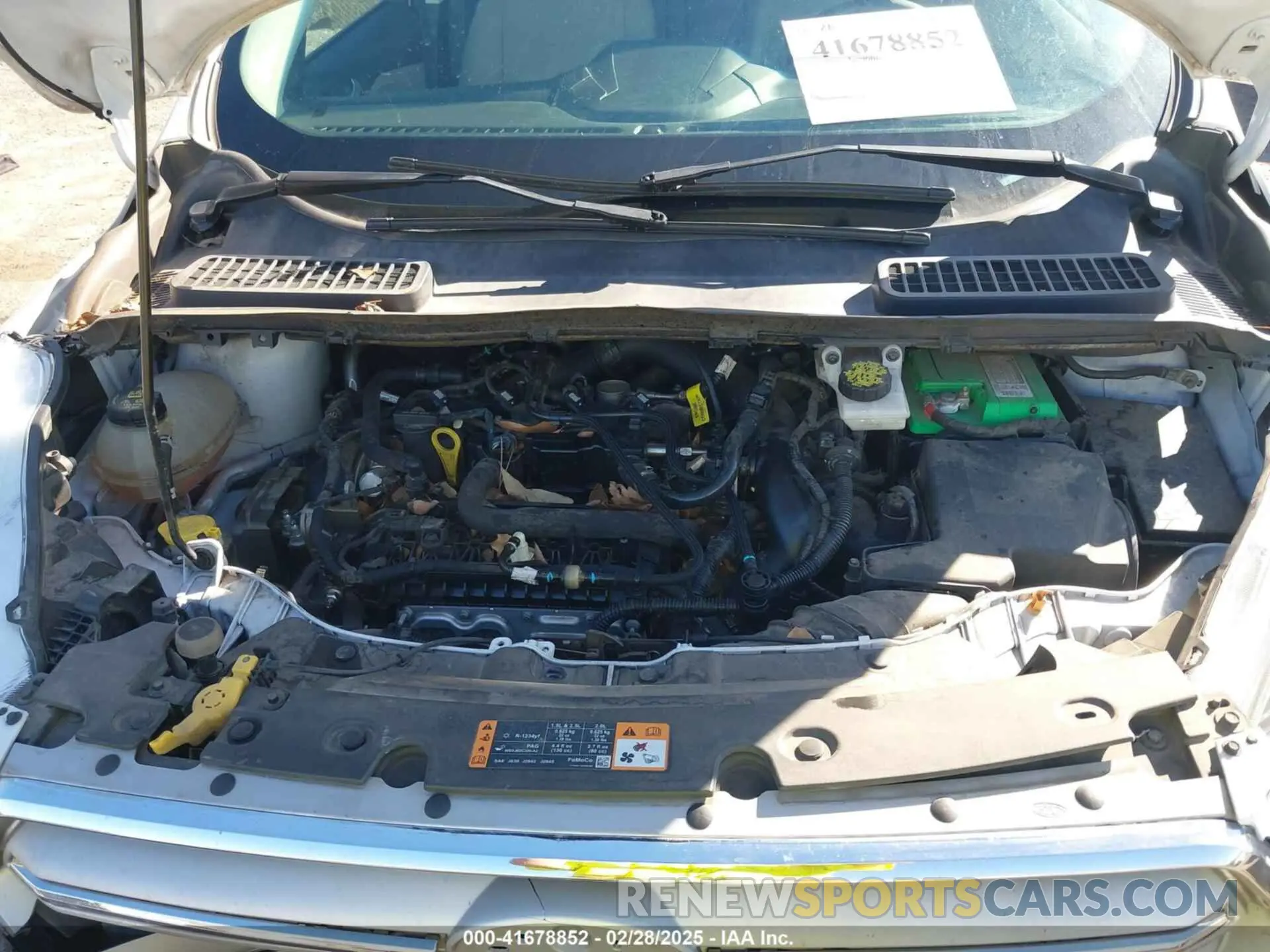 10 fotografías del automóvil dañado 1FMCU0GD8KUA12544 FORD ESCAPE 2019