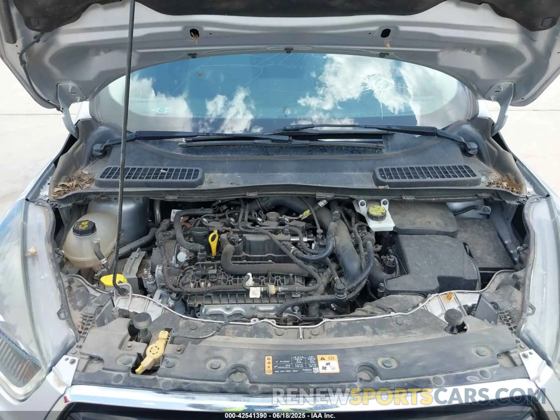 10 fotografías del automóvil dañado 1FMCU0GD8KUA64496 FORD ESCAPE 2019