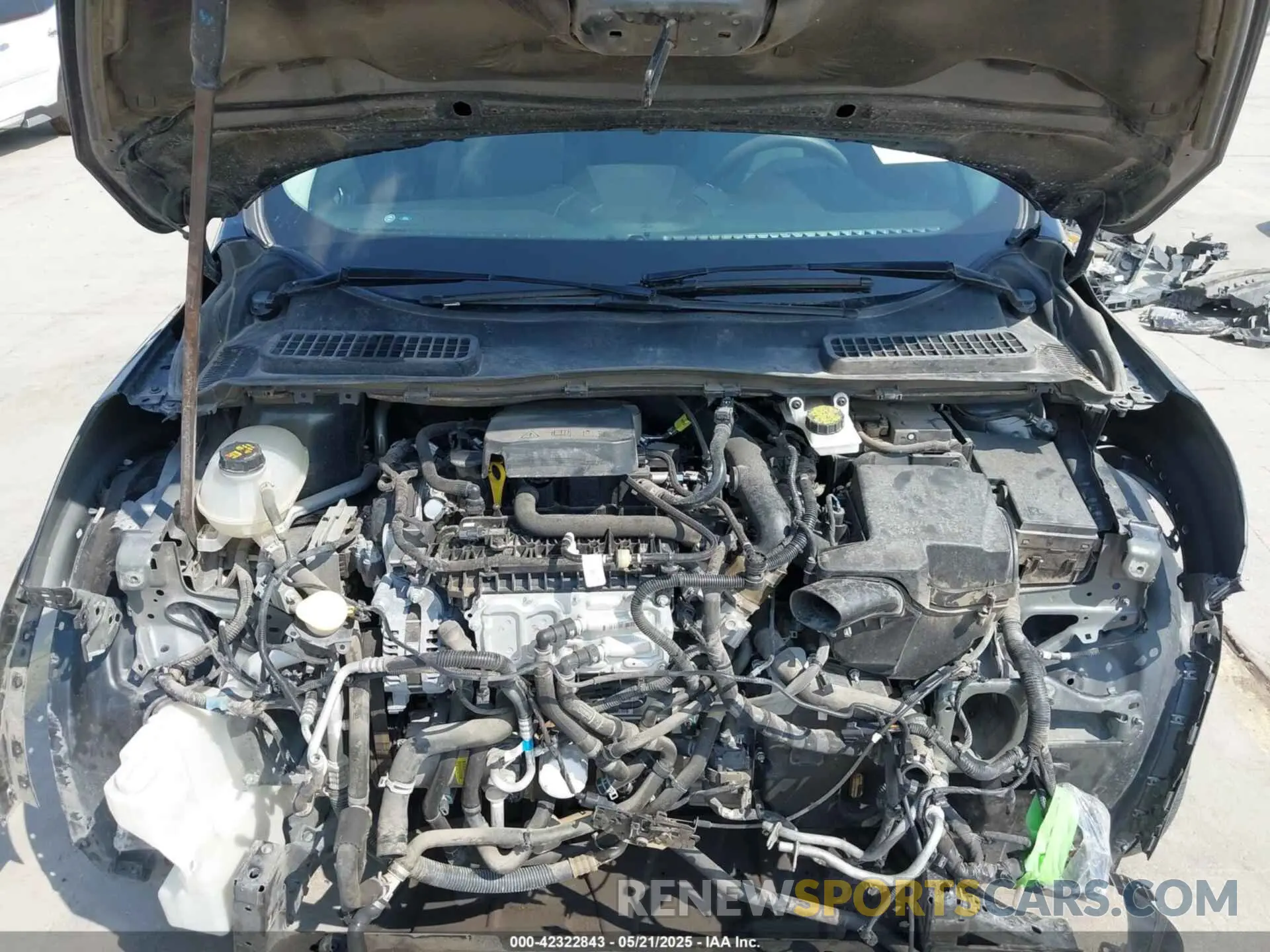10 fotografías del automóvil dañado 1FMCU0GD8KUC52290 FORD ESCAPE 2019