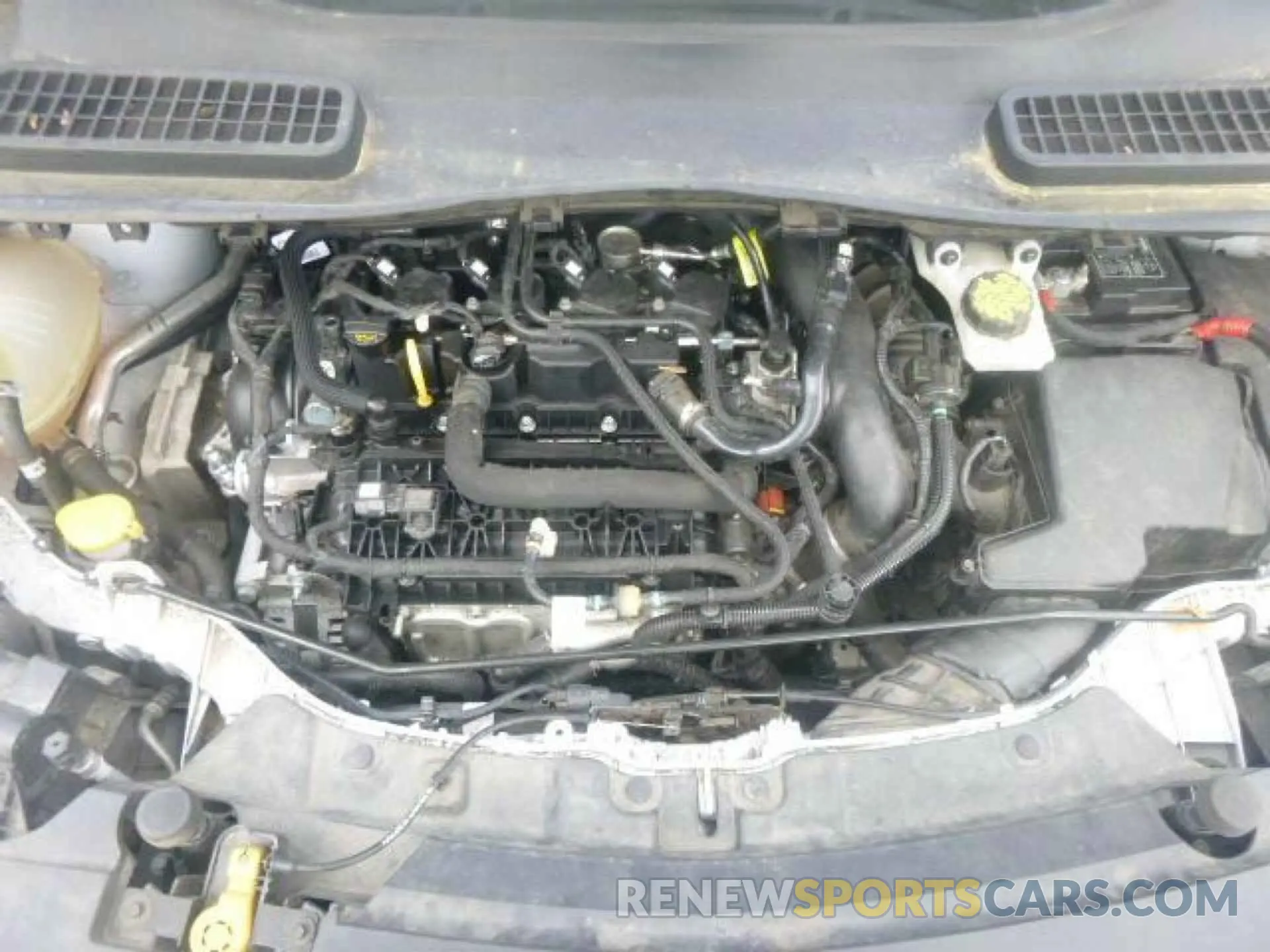 12 fotografías del automóvil dañado 1FMCU0GD9KUB82377 FORD ESCAPE 2019
