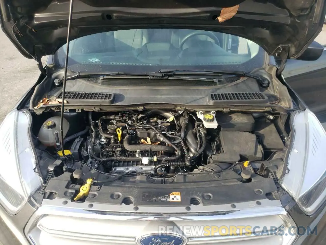 12 fotografías del automóvil dañado 1FMCU0GDXKUA59459 FORD ESCAPE 2019
