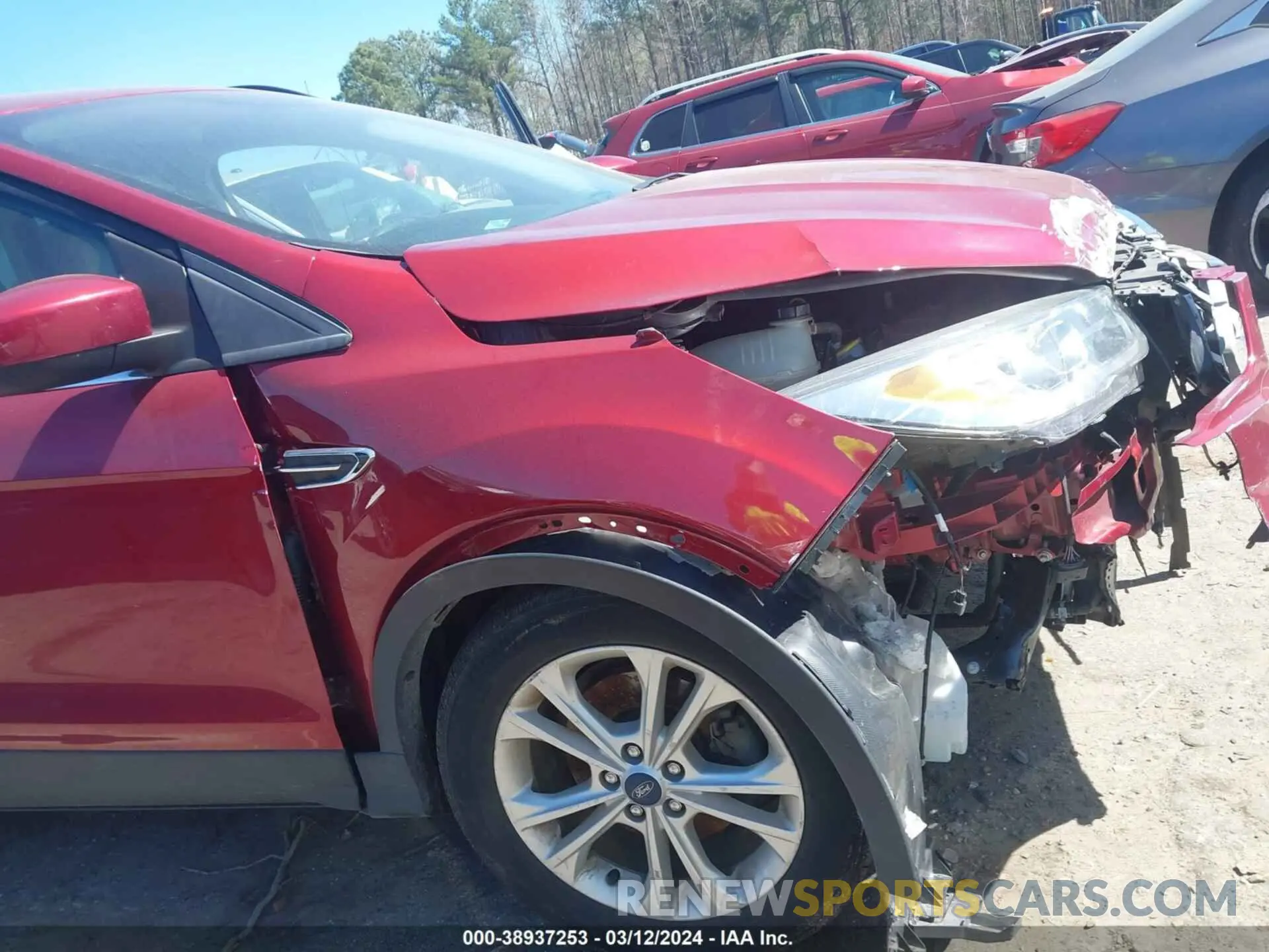 11 fotografías del automóvil dañado 1FMCU0HD1KUA67545 FORD ESCAPE 2019