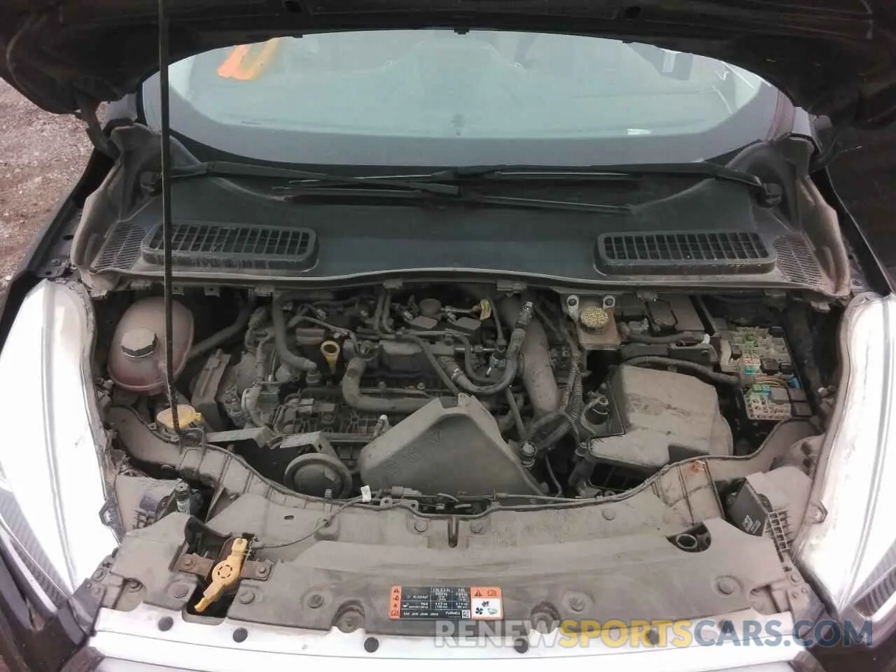 12 fotografías del automóvil dañado 1FMCU0HD4KUB99134 FORD ESCAPE 2019