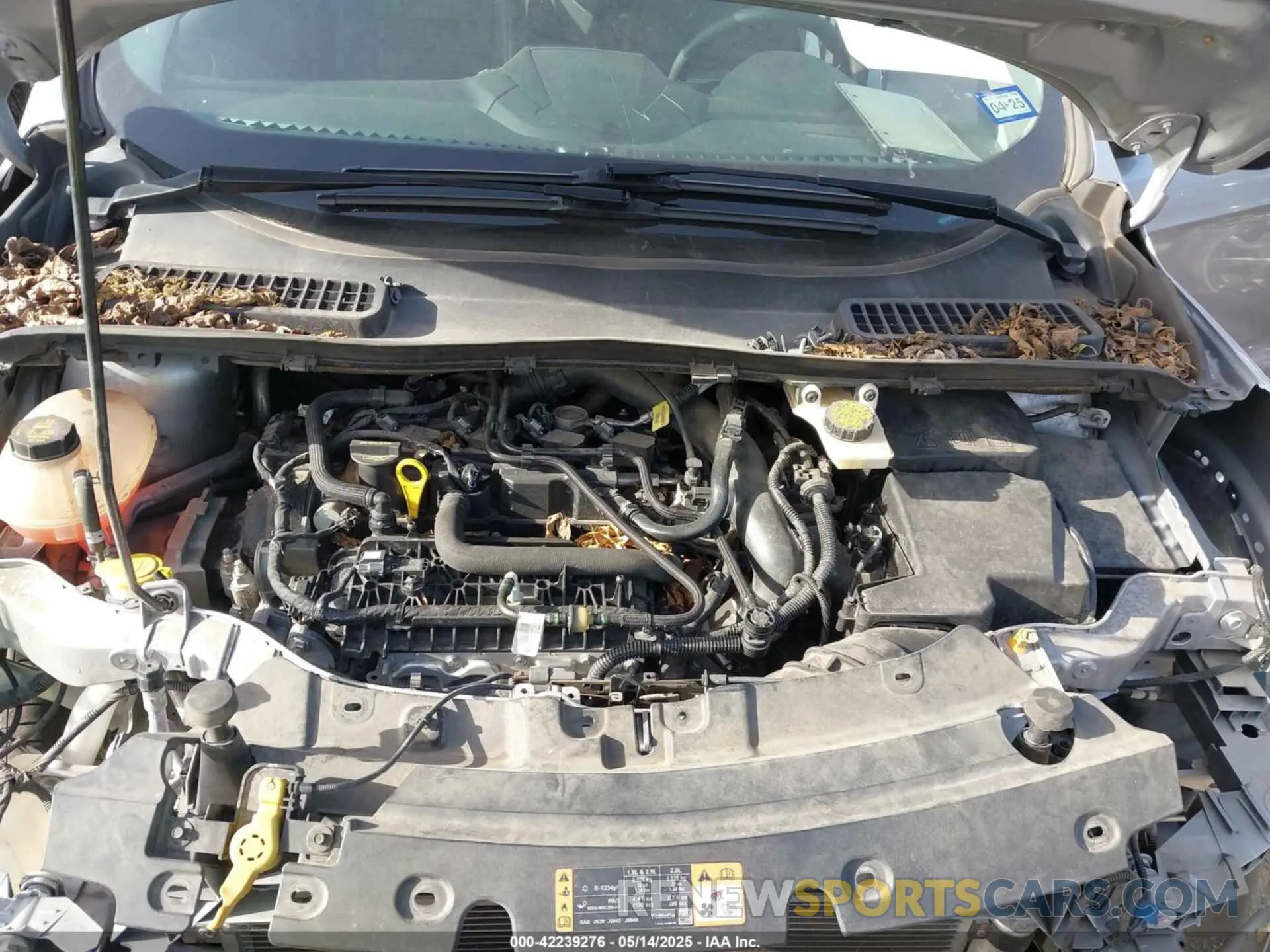 10 fotografías del automóvil dañado 1FMCU0HD5KUA99883 FORD ESCAPE 2019