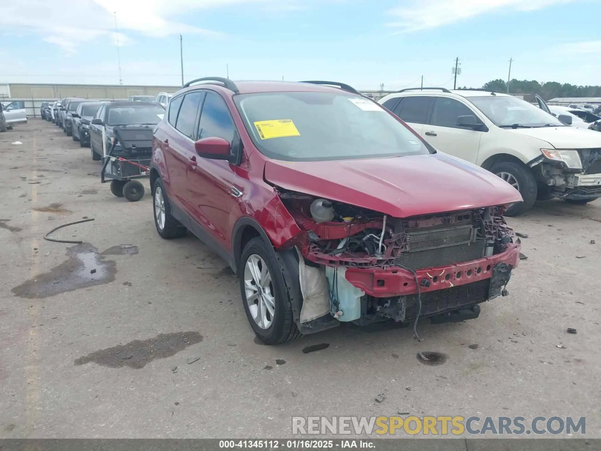 1 fotografías del automóvil dañado 1FMCU0HD5KUC02221 FORD ESCAPE 2019