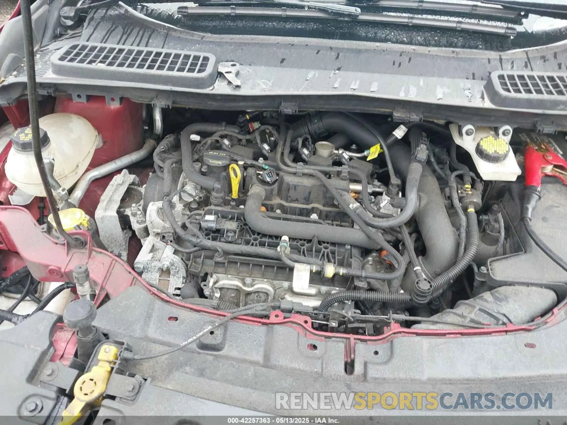 10 fotografías del automóvil dañado 1FMCU0HD6KUB23141 FORD ESCAPE 2019
