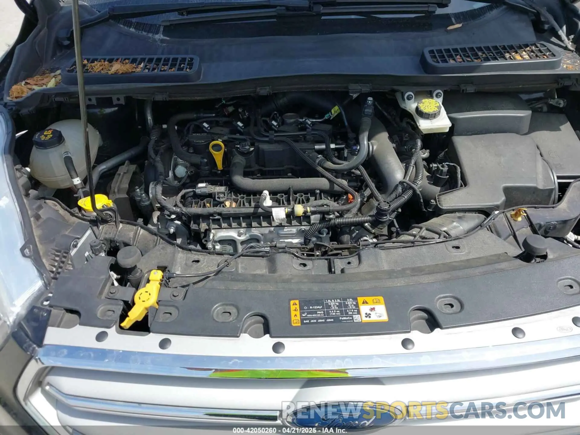 10 fotografías del automóvil dañado 1FMCU0HD8KUB95331 FORD ESCAPE 2019