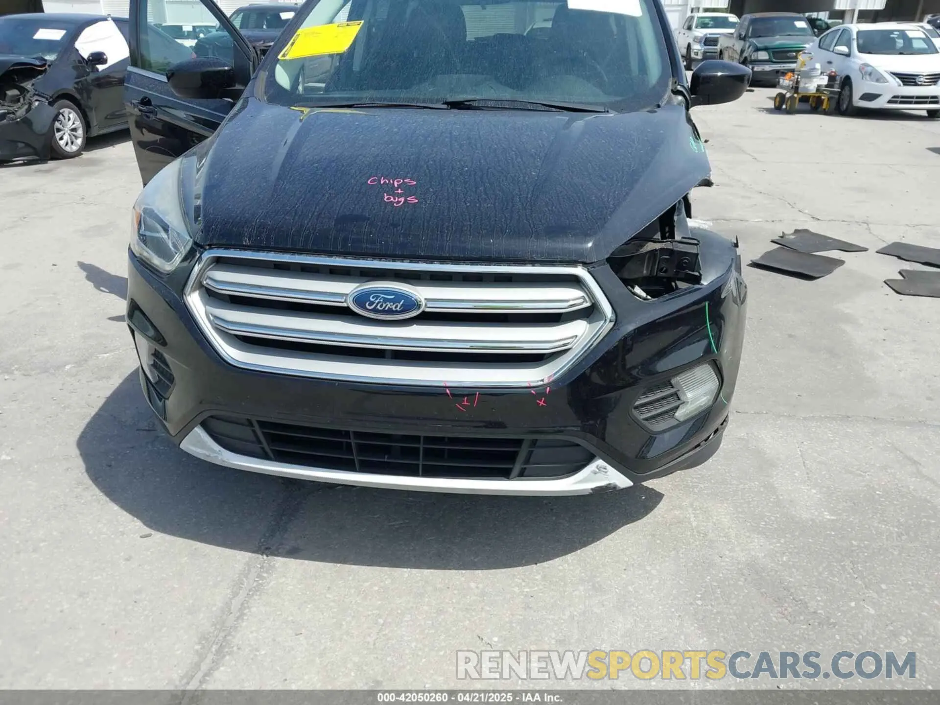 12 fotografías del automóvil dañado 1FMCU0HD8KUB95331 FORD ESCAPE 2019