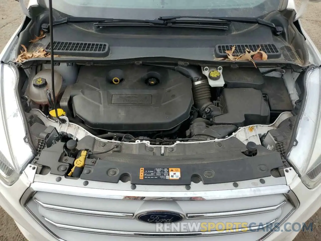 12 fotografías del automóvil dañado 1FMCU0J91KUB19987 FORD ESCAPE 2019