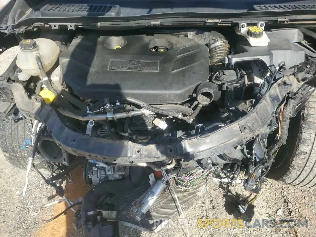14 fotografías del automóvil dañado 1FMCU0J99KUB10731 FORD ESCAPE 2019