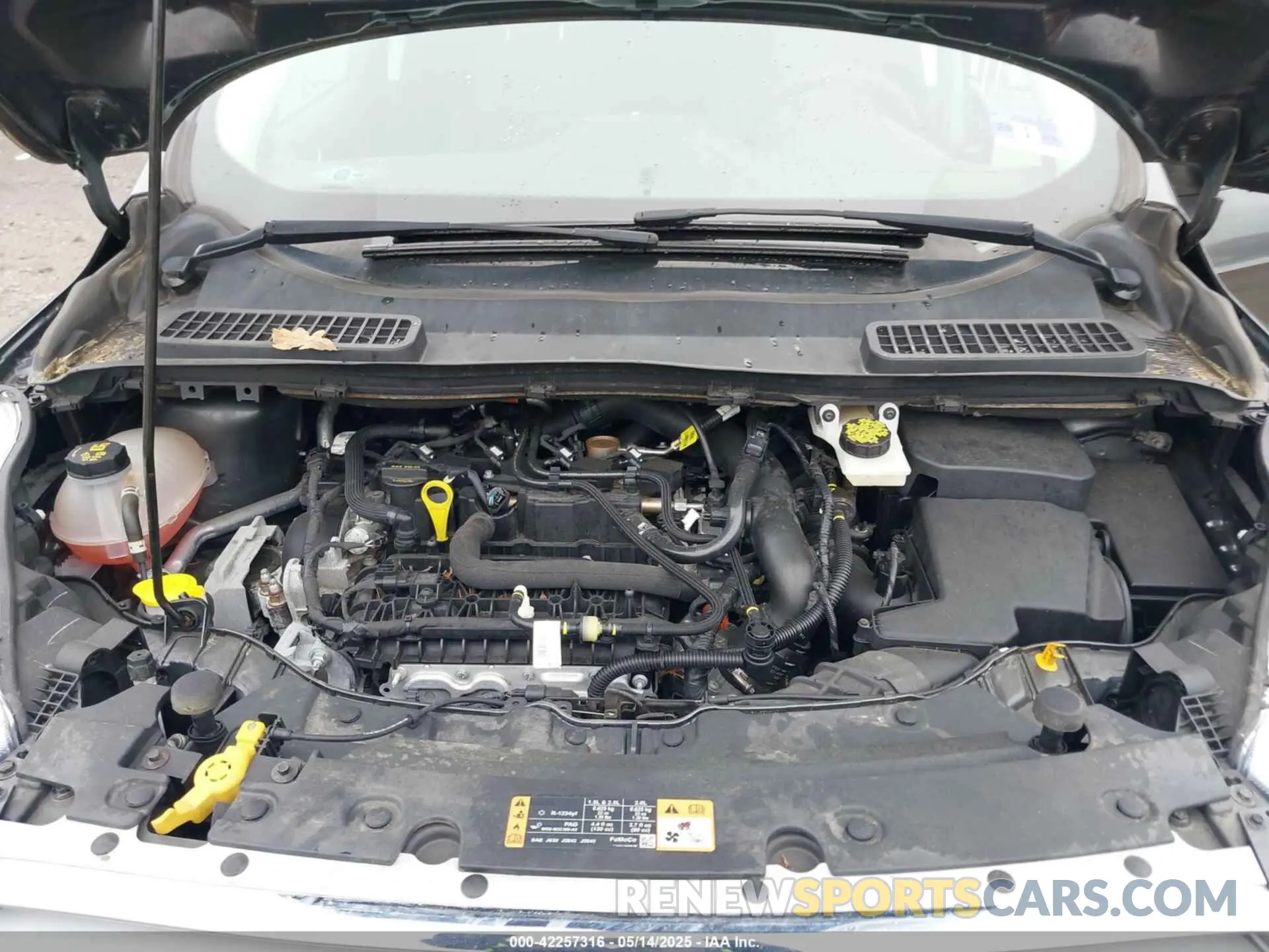 10 fotografías del automóvil dañado 1FMCU9GD3KUA67083 FORD ESCAPE 2019