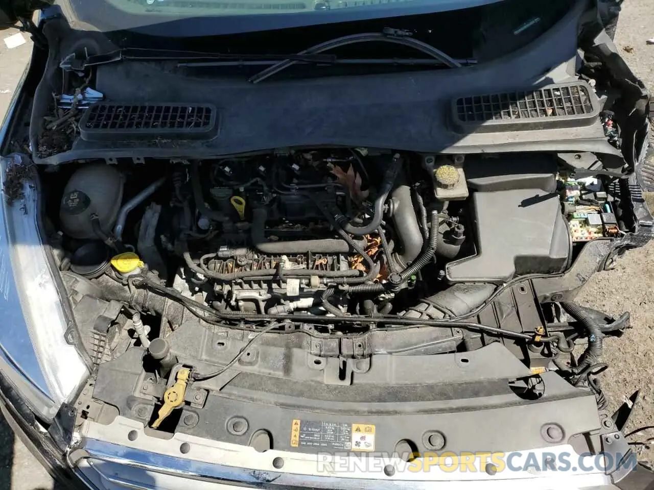 13 fotografías del automóvil dañado 1FMCU9GD3KUB44504 FORD ESCAPE 2019