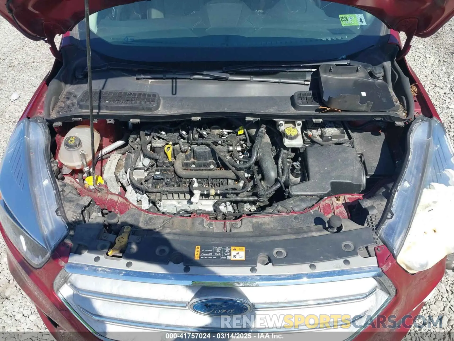 10 fotografías del automóvil dañado 1FMCU9GD4KUA96012 FORD ESCAPE 2019