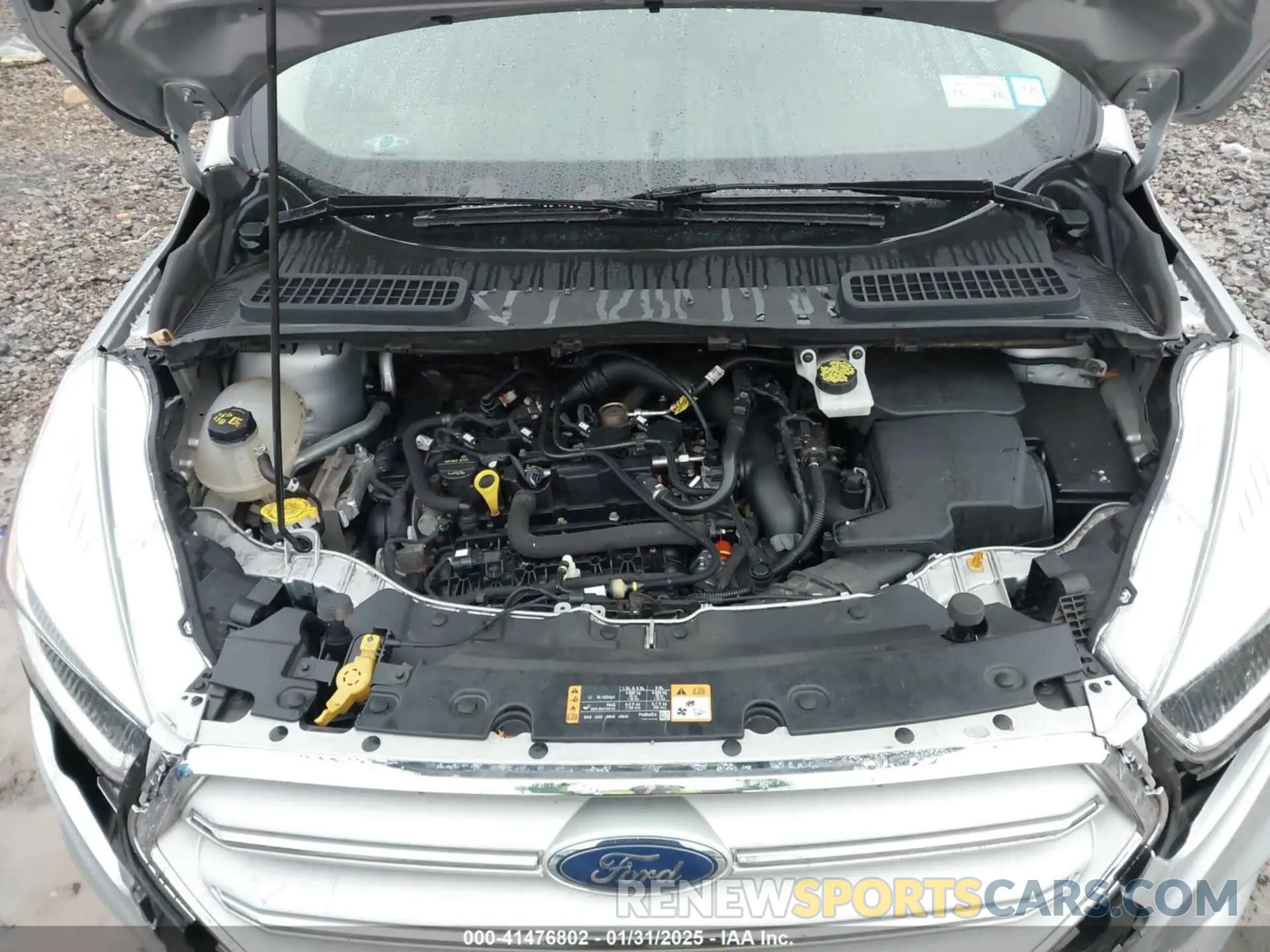10 fotografías del automóvil dañado 1FMCU9GD6KUB22822 FORD ESCAPE 2019