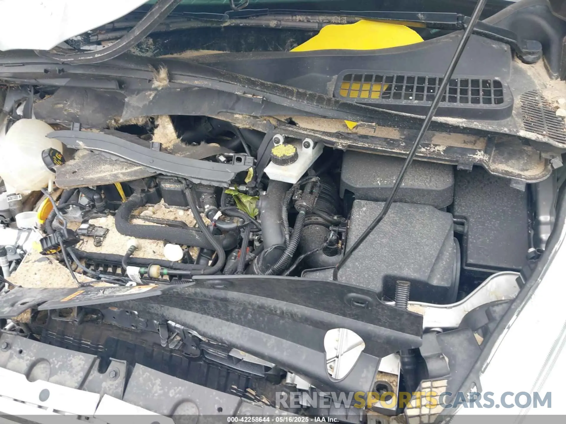 10 fotografías del automóvil dañado 1FMCU9GD8KUA73154 FORD ESCAPE 2019