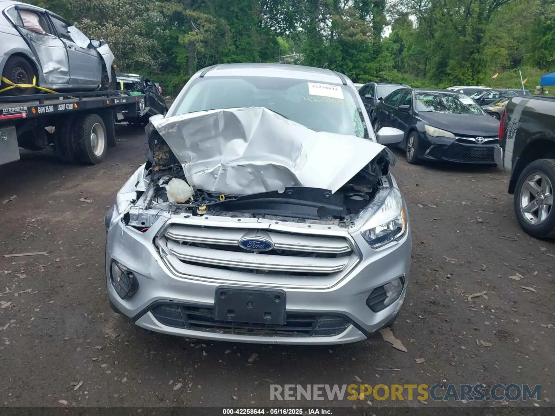 12 fotografías del automóvil dañado 1FMCU9GD8KUA73154 FORD ESCAPE 2019