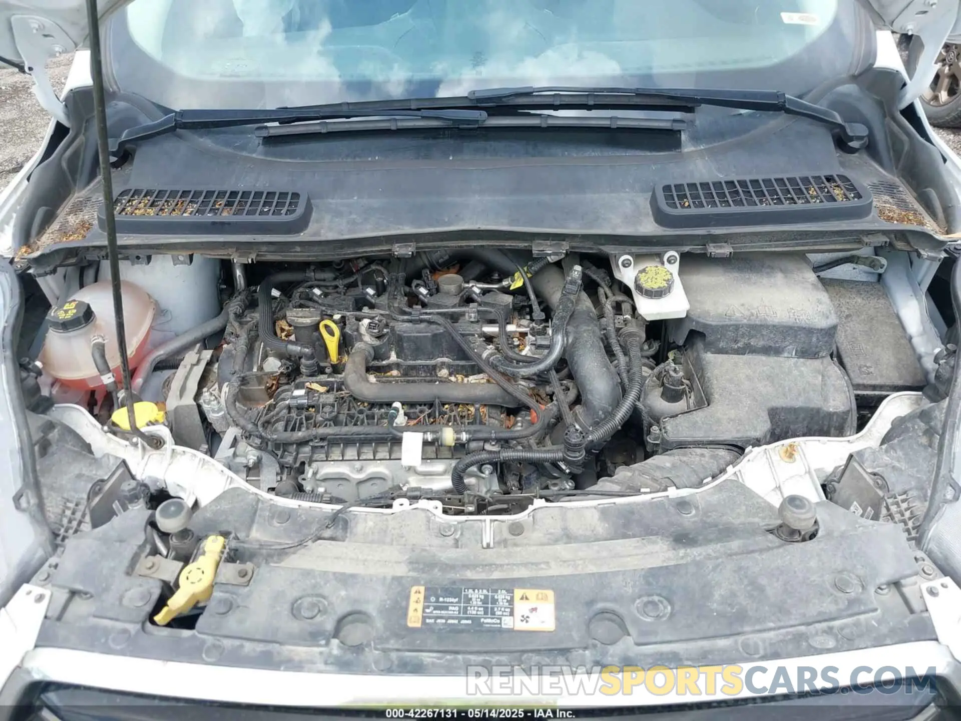 10 fotografías del automóvil dañado 1FMCU9GD8KUB42375 FORD ESCAPE 2019