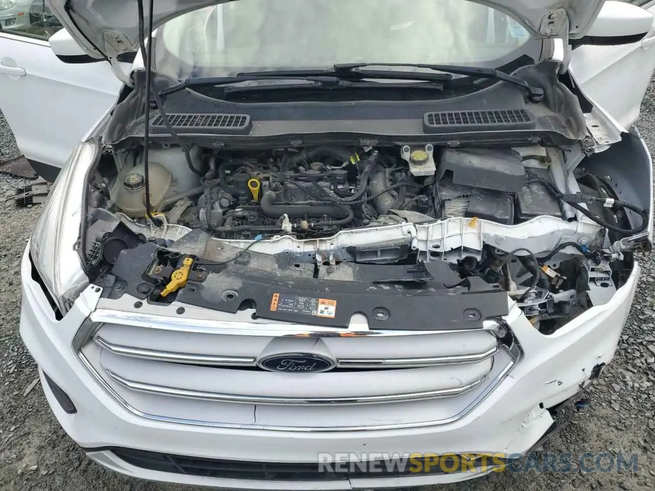 12 fotografías del automóvil dañado 1FMCU9GDXKUC13530 FORD ESCAPE 2019