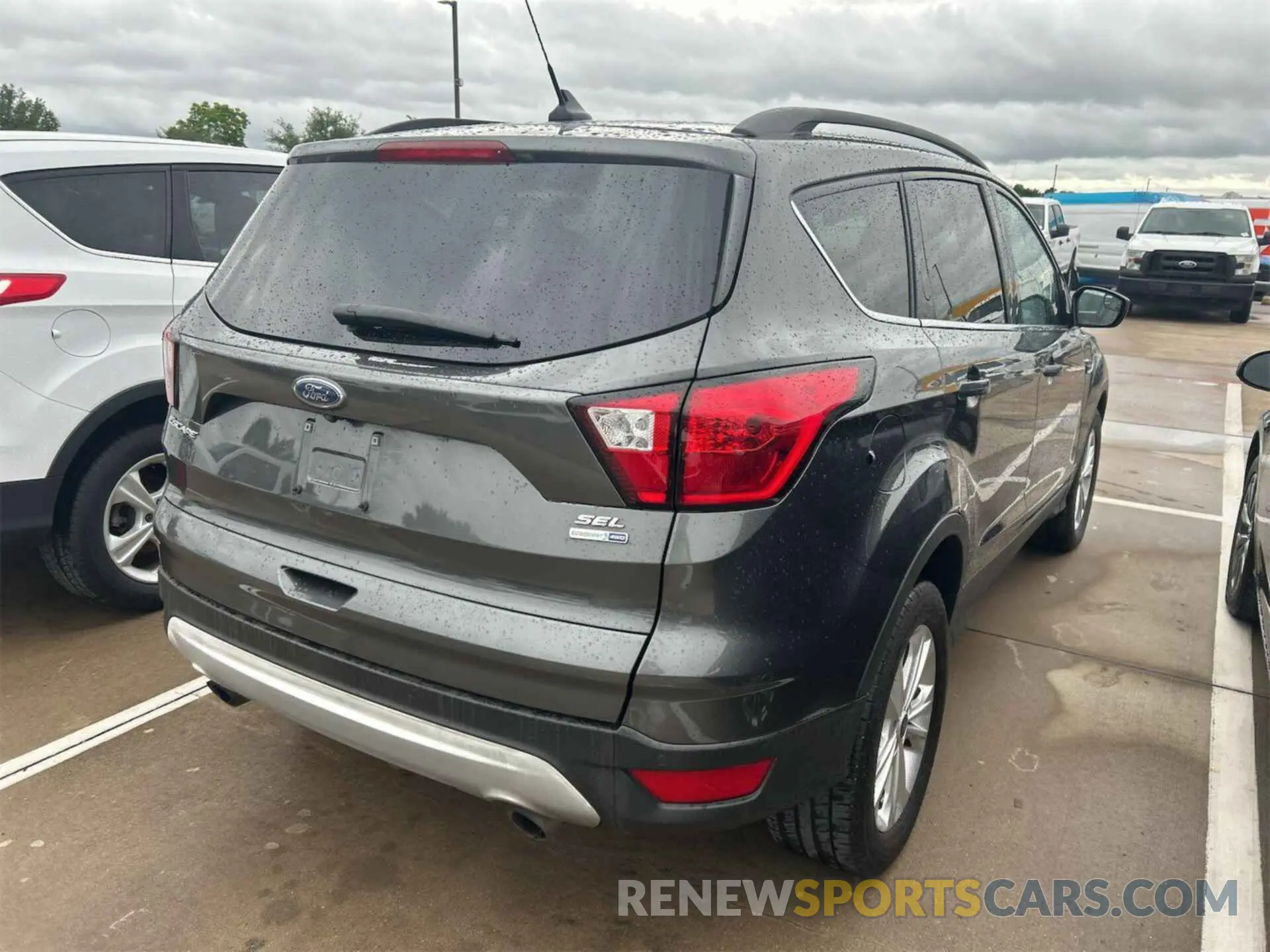 14 fotografías del automóvil dañado 1FMCU9HD3KUB82443 FORD ESCAPE 2019