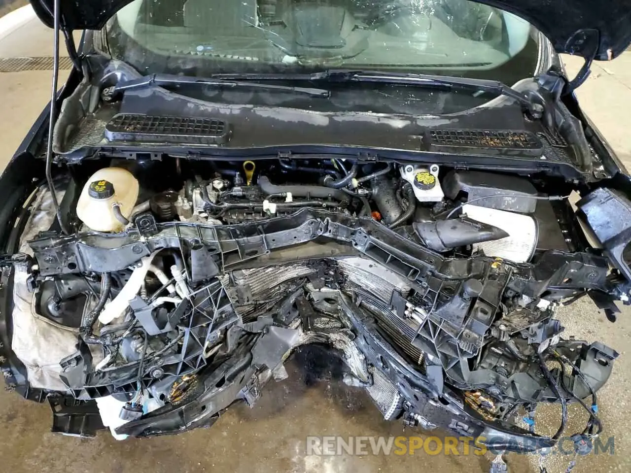 12 fotografías del automóvil dañado 1FMCU9HD5KUC56588 FORD ESCAPE 2019