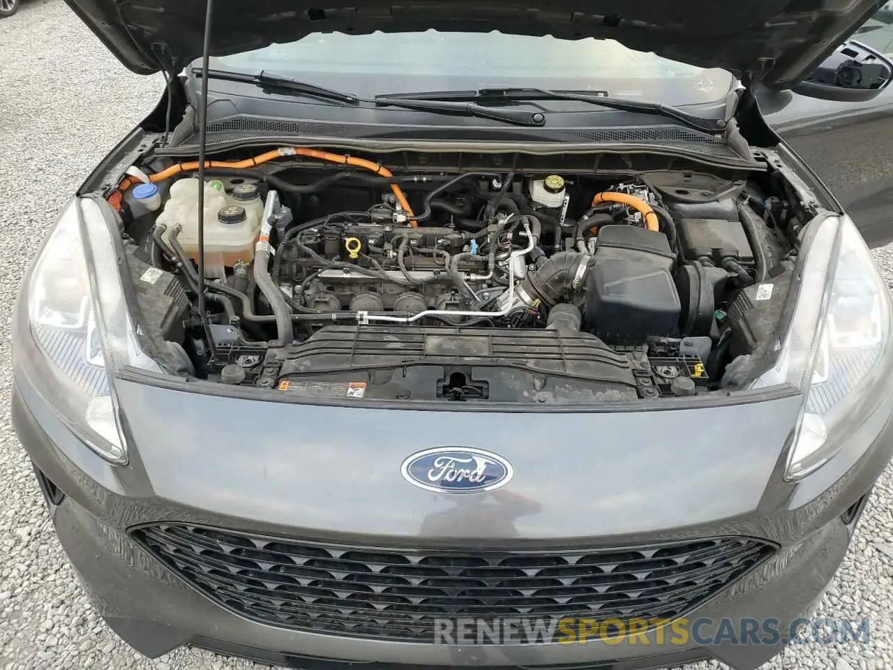 12 fotografías del automóvil dañado 1FMCU0BZ0LUB40149 FORD ESCAPE 2020
