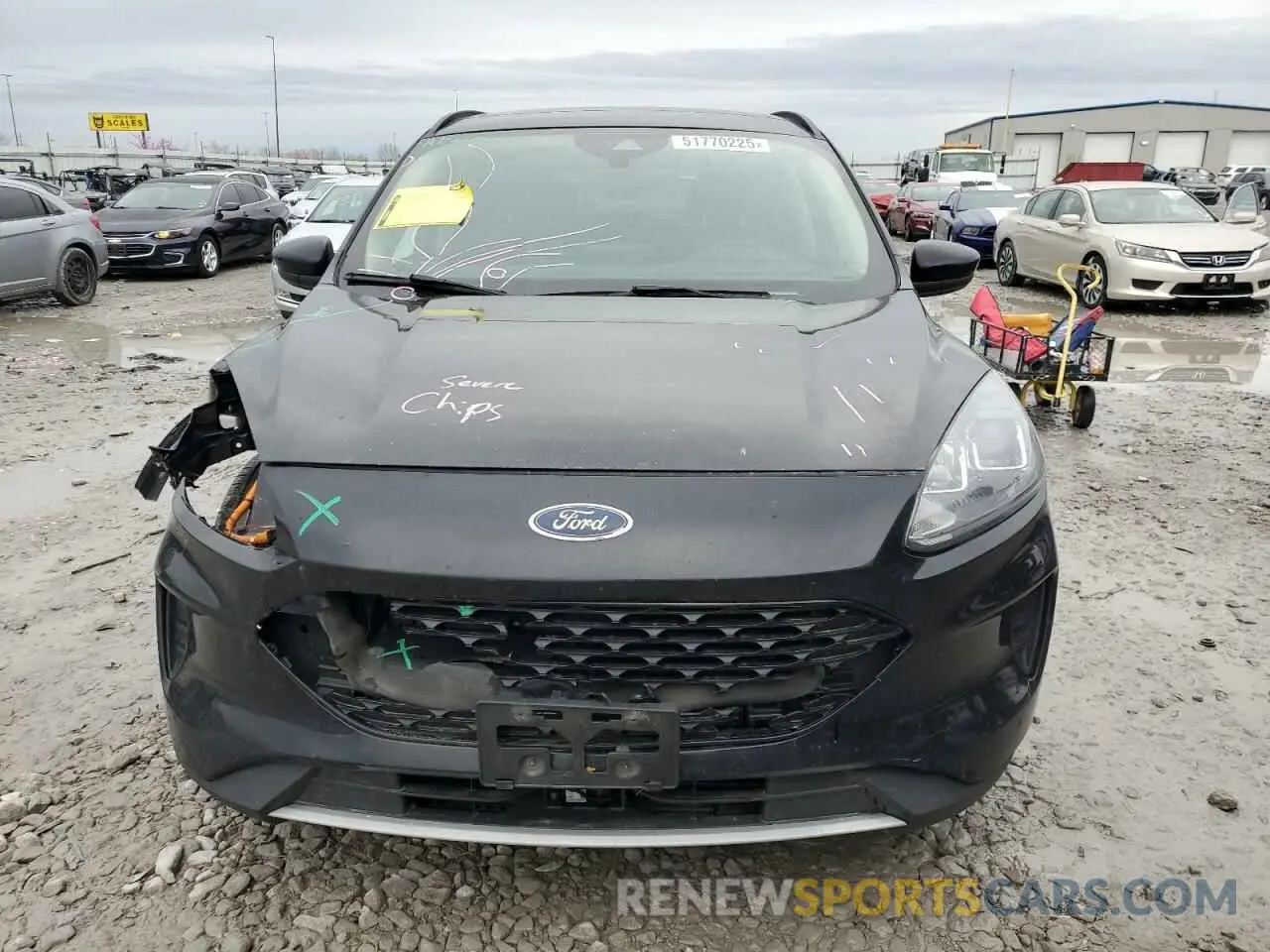 5 fotografías del automóvil dañado 1FMCU0BZ0LUB48929 FORD ESCAPE 2020