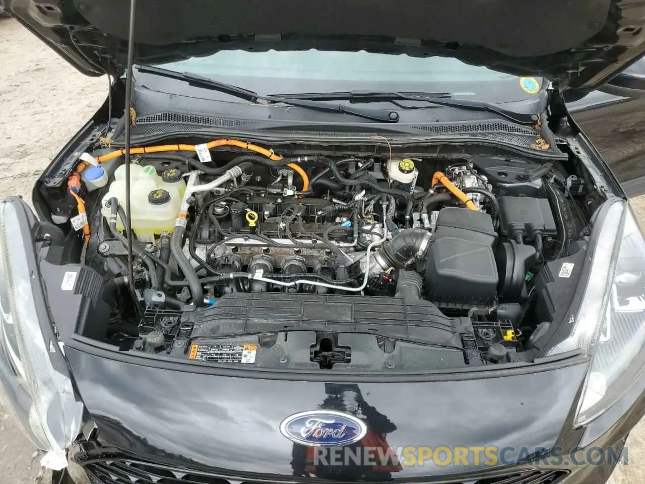 12 fotografías del automóvil dañado 1FMCU0BZ2LUB13387 FORD ESCAPE 2020