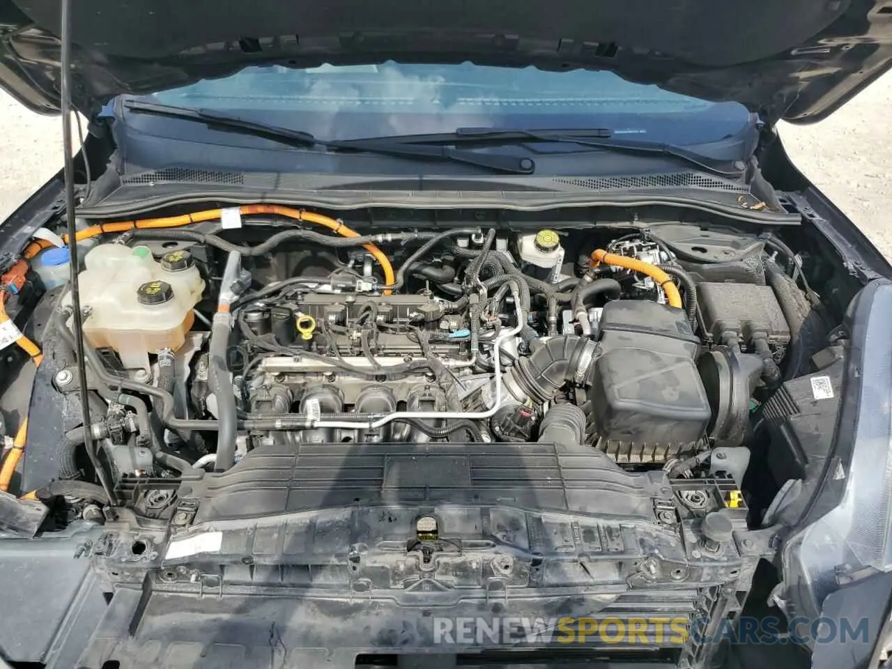 12 fotografías del automóvil dañado 1FMCU0BZ5LUB81201 FORD ESCAPE 2020