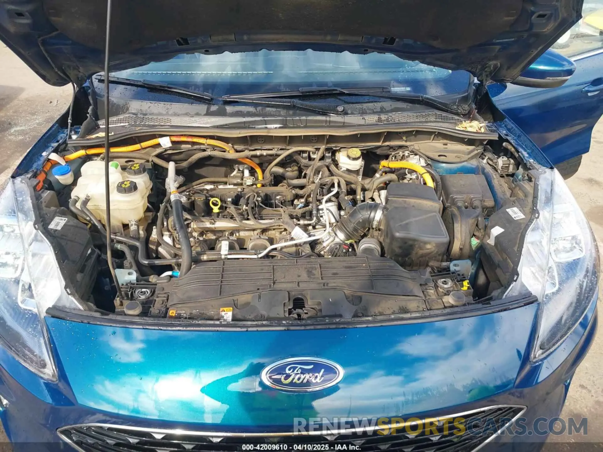 10 fotografías del automóvil dañado 1FMCU0DZ5LUC48442 FORD ESCAPE 2020