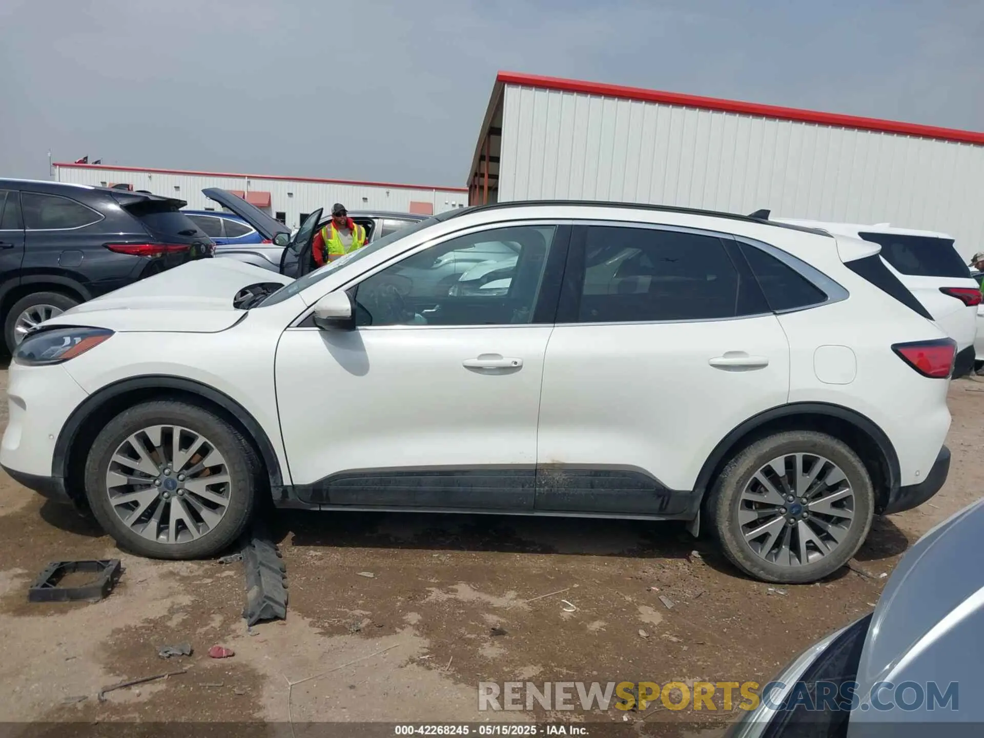 14 fotografías del automóvil dañado 1FMCU0DZ9LUA54867 FORD ESCAPE 2020