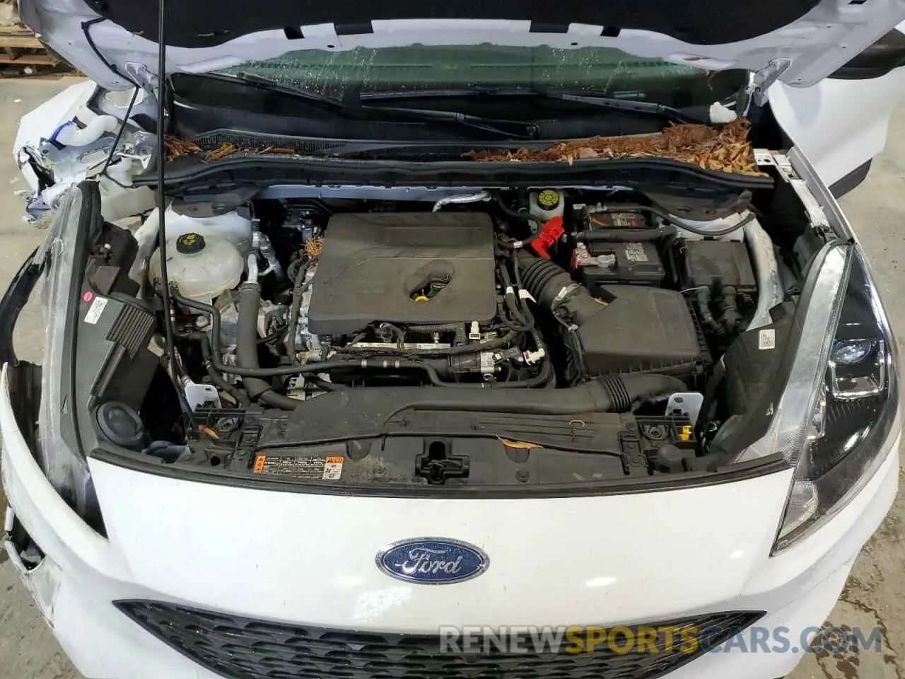 12 fotografías del automóvil dañado 1FMCU0F69LUA06045 FORD ESCAPE 2020
