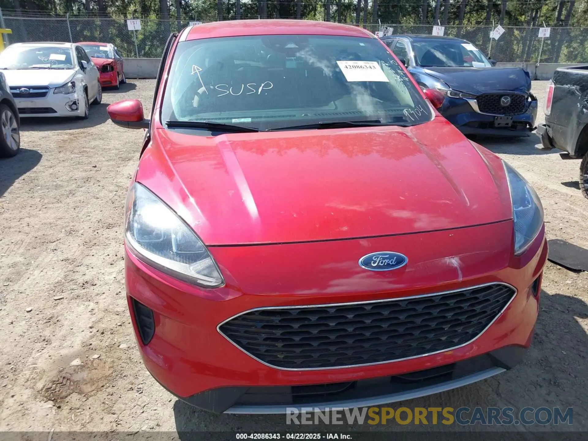 13 fotografías del automóvil dañado 1FMCU0G60LUA79304 FORD ESCAPE 2020