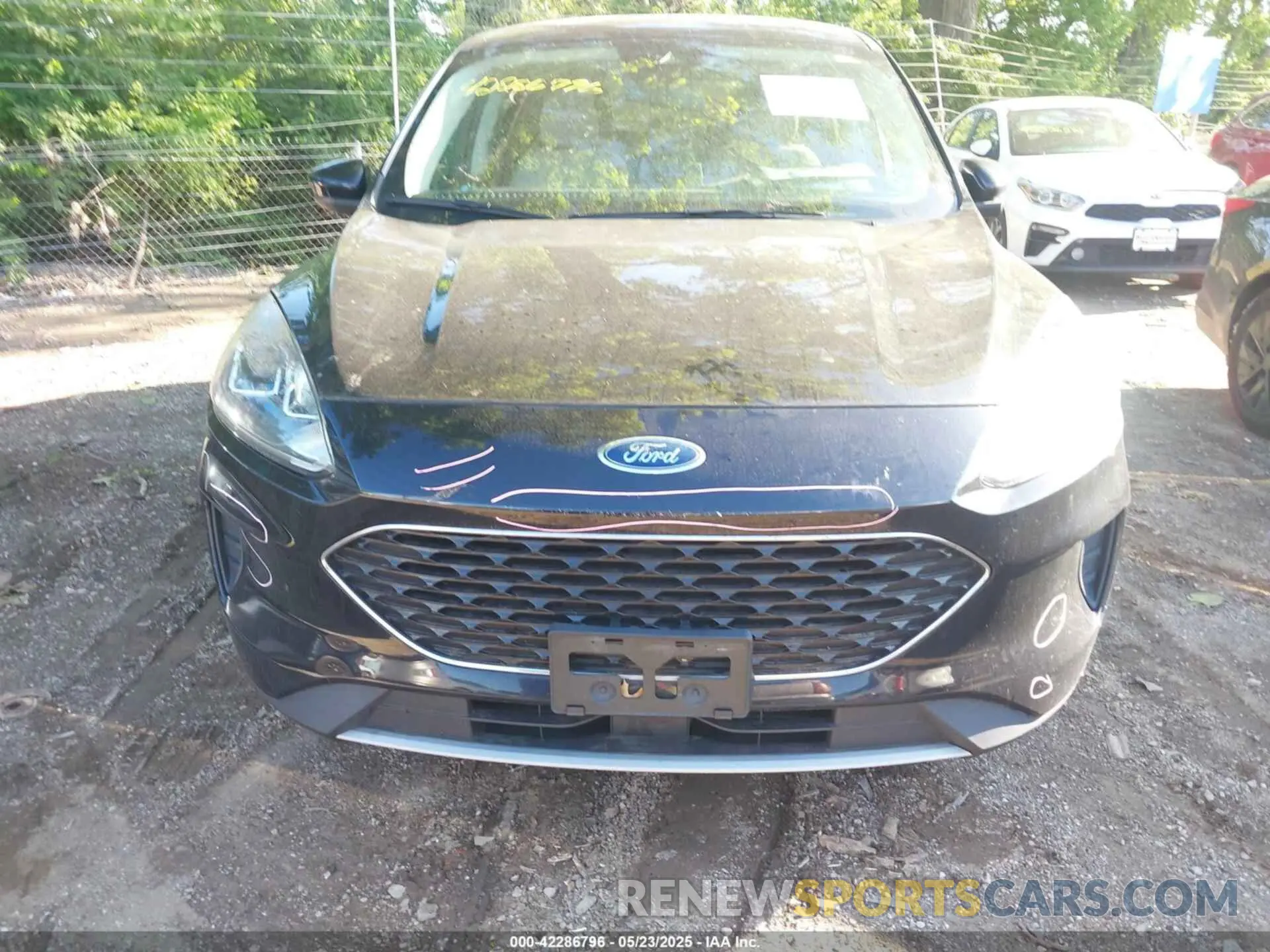 13 fotografías del automóvil dañado 1FMCU0G61LUA29107 FORD ESCAPE 2020