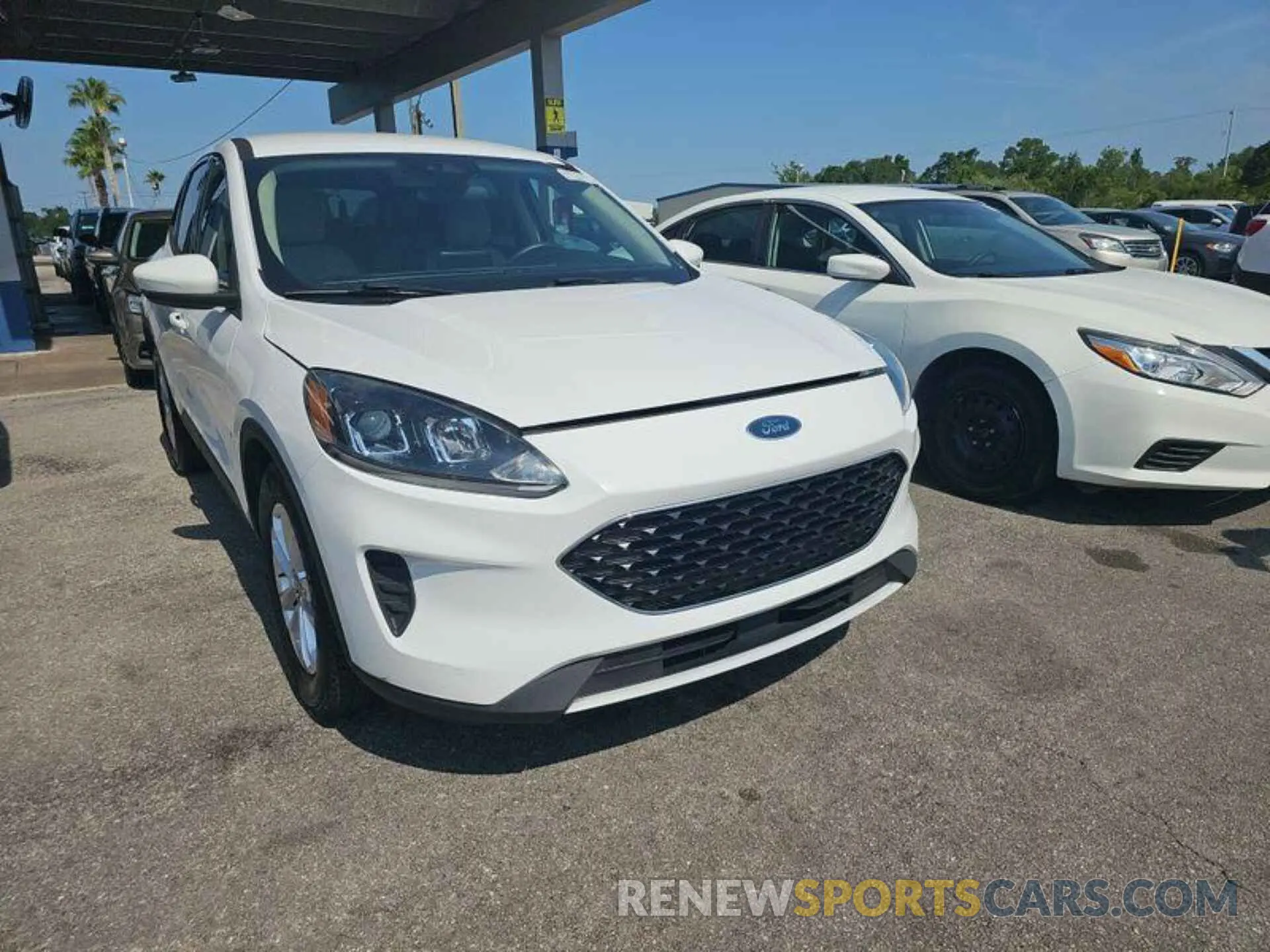 23 fotografías del automóvil dañado 1FMCU0G61LUA47526 FORD ESCAPE 2020