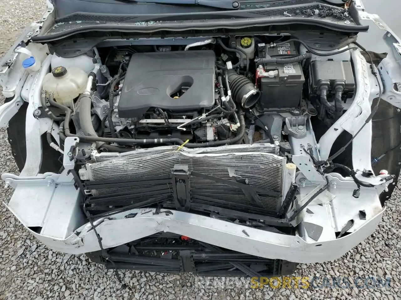 12 fotografías del automóvil dañado 1FMCU0G68LUA24809 FORD ESCAPE 2020