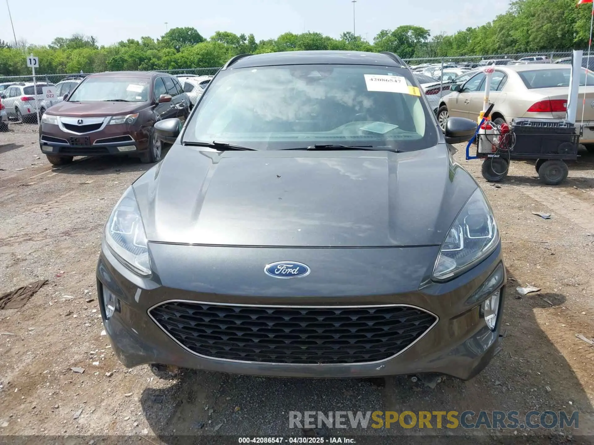 13 fotografías del automóvil dañado 1FMCU0H61LUA23452 FORD ESCAPE 2020