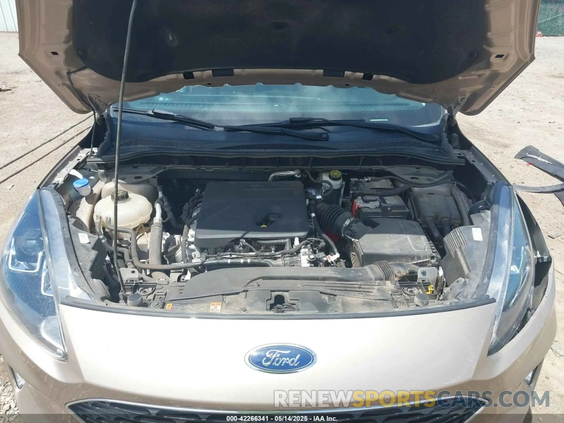 10 fotografías del automóvil dañado 1FMCU0H69LUB23895 FORD ESCAPE 2020