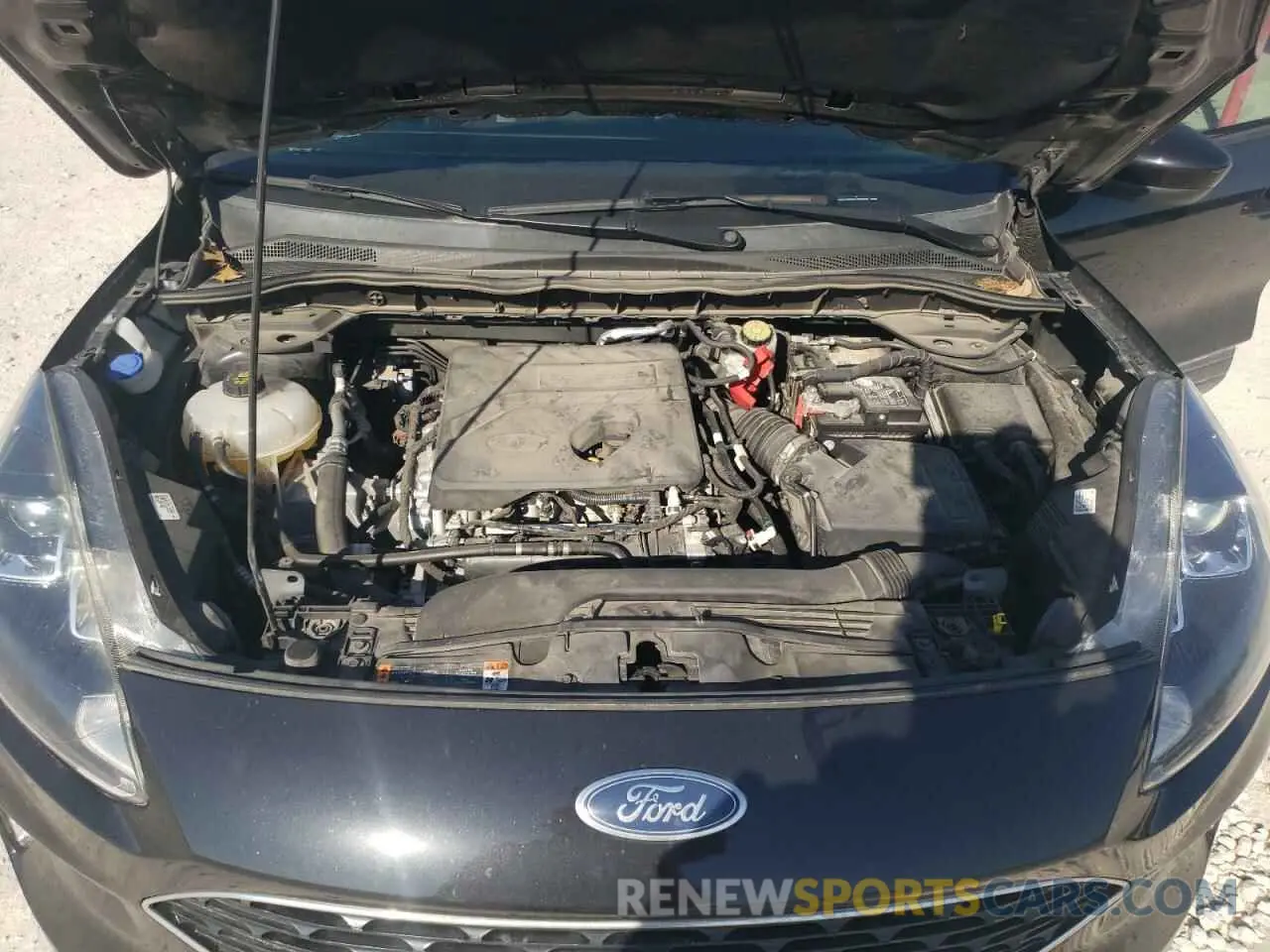 12 fotografías del automóvil dañado 1FMCU0H69LUB96765 FORD ESCAPE 2020