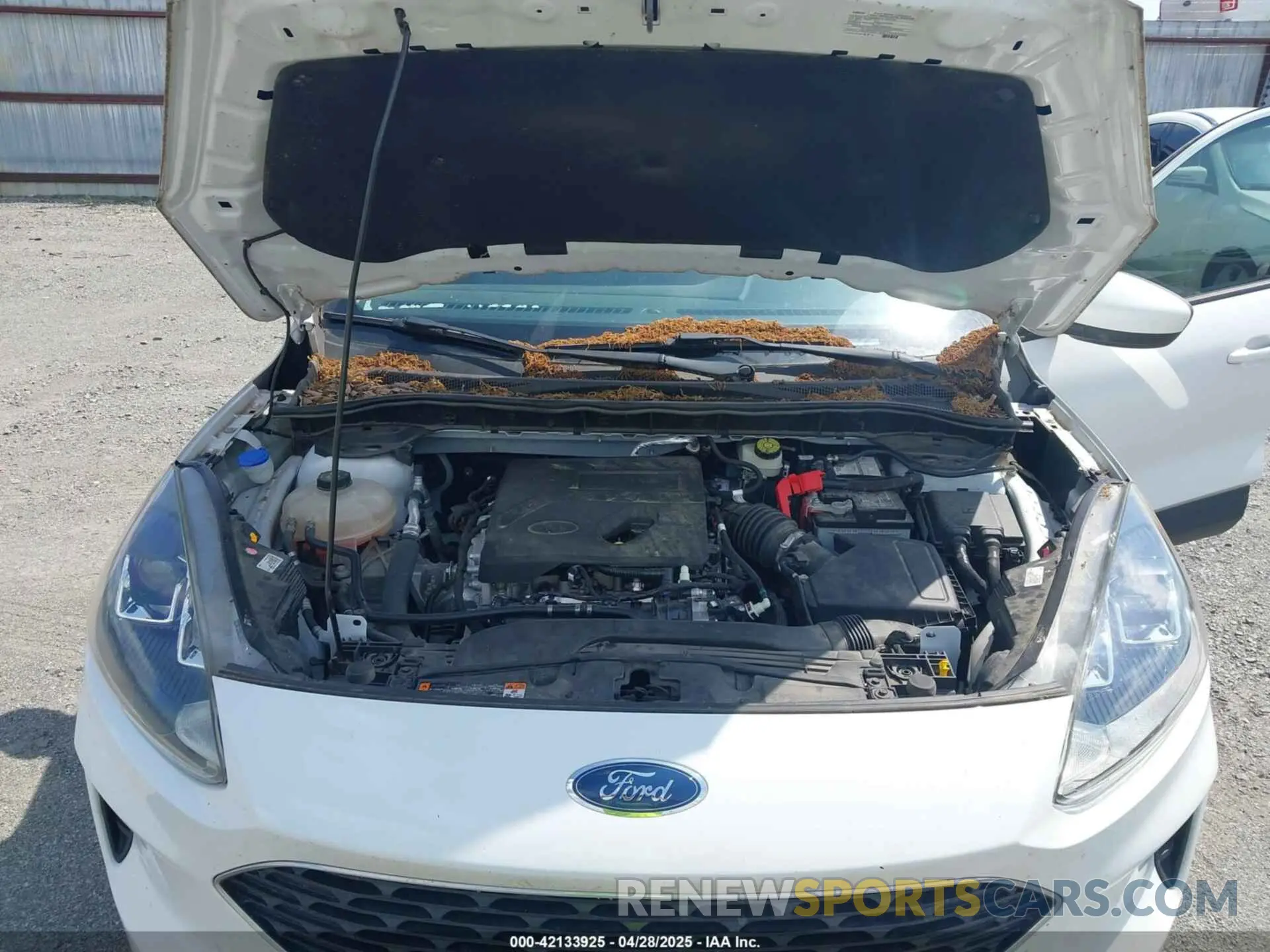 10 fotografías del automóvil dañado 1FMCU9G60LUA23335 FORD ESCAPE 2020