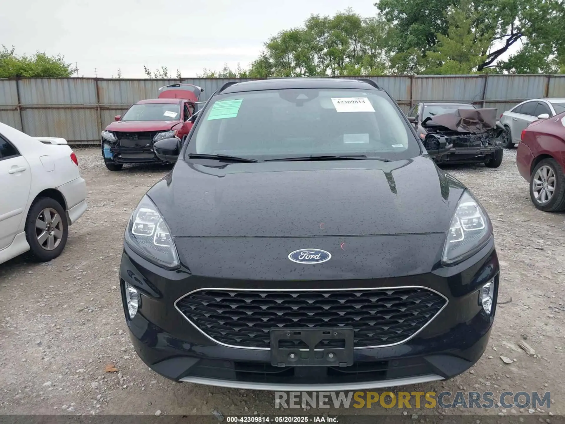 13 fotografías del automóvil dañado 1FMCU9J90LUA51459 FORD ESCAPE 2020