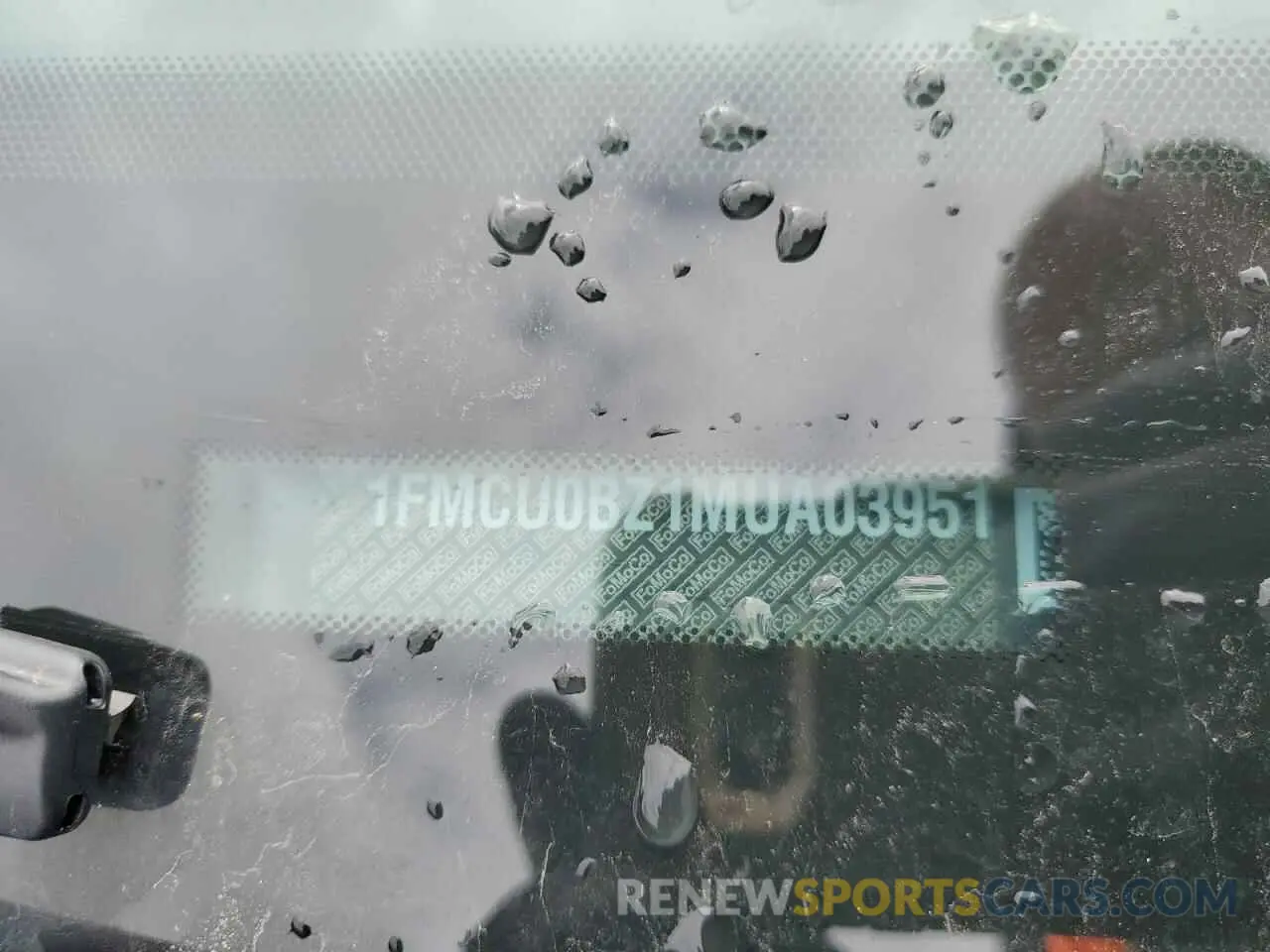 13 fotografías del automóvil dañado 1FMCU0BZ1MUA03951 FORD ESCAPE 2021