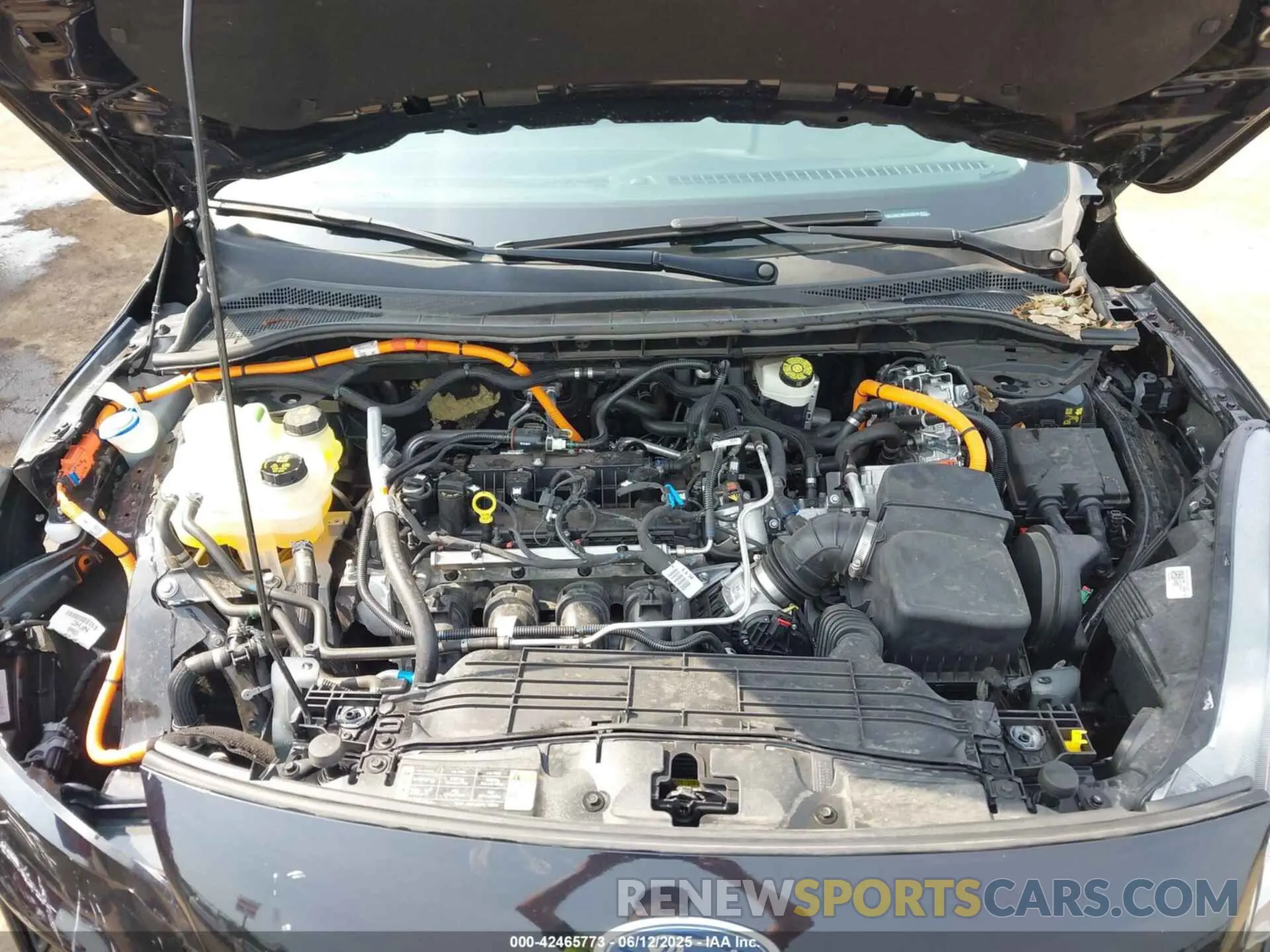 10 fotografías del automóvil dañado 1FMCU0BZ3MUA36546 FORD ESCAPE 2021