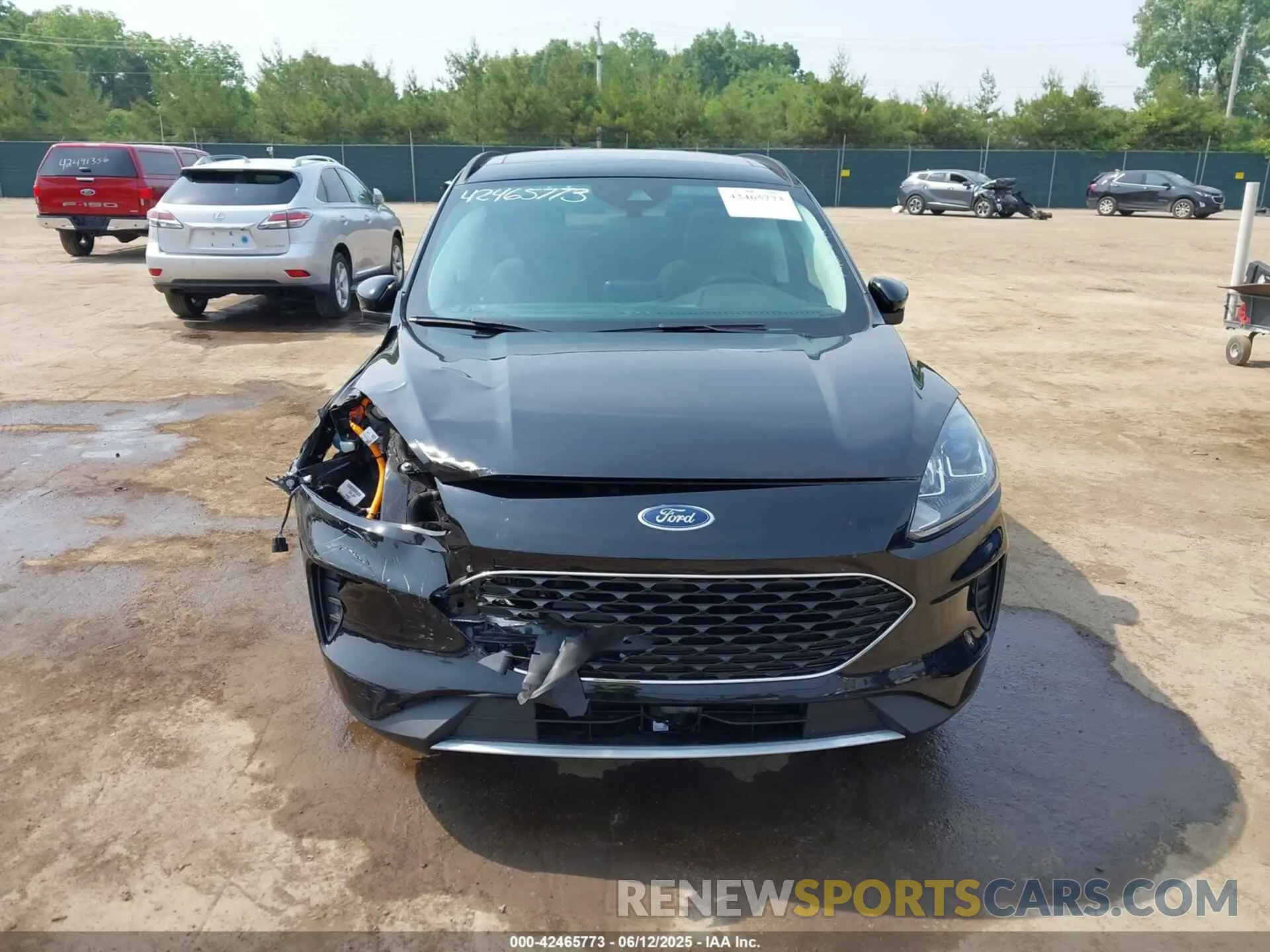 13 fotografías del automóvil dañado 1FMCU0BZ3MUA36546 FORD ESCAPE 2021