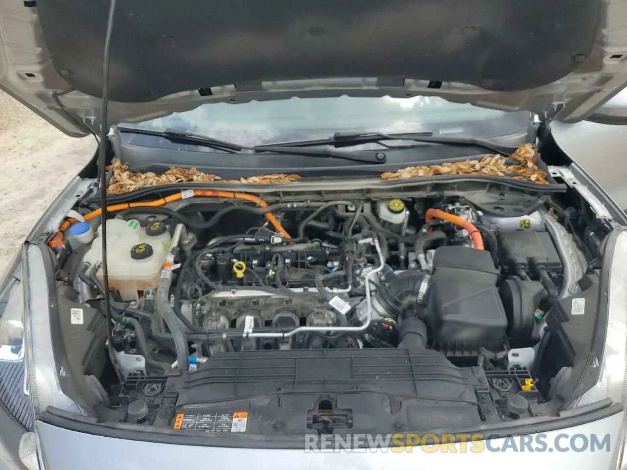 12 fotografías del automóvil dañado 1FMCU0BZ9MUA58048 FORD ESCAPE 2021