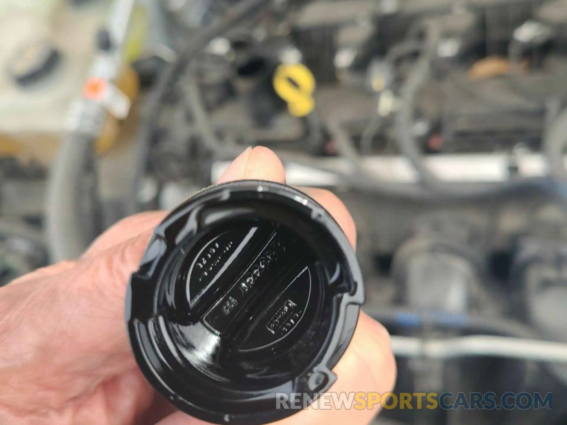 19 fotografías del automóvil dañado 1FMCU0CZ5MUA53007 FORD ESCAPE 2021